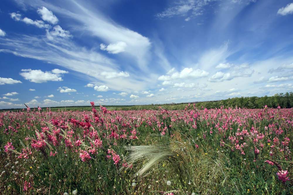The Science of Today's Spring Equinox